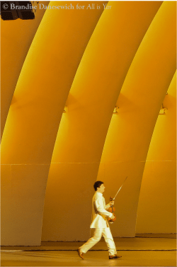 Augustin Hadelich - Hollywood Bowl - 23 July 2013 (photo by Brandise Danesewich) 4