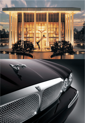 Ambassador and Jaguar