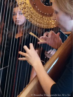 A view through the harp
